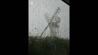 Rain on Window for Deep Sleep | Relaxing Rain Sounds (1 Hour)