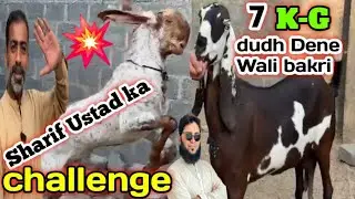 Aamdan Baloch goat farm visit latest update| 14-Jan-2026😱 mandi se saste 🔥 loot Lo ,
