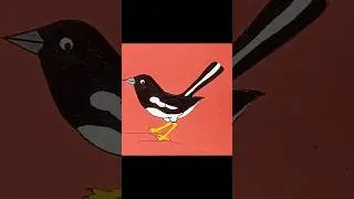 How To Draw Magpie doyel pakhi drawing  দোয়েল পাখি আঁকা #shorts #video #viral #reels #দোয়েল #doyel