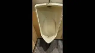 INAX・LIXIL U-411R urinal