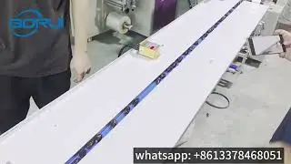 [Boruipack]  dates flow packaging machine with vibration bowl automatic feeding system