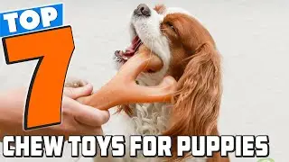 Top 7 Puppy Chew Toys for Healthy Teething 2025