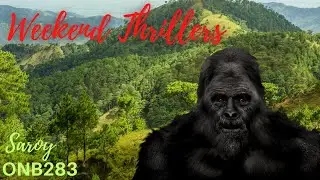 ONB283 Bigfoot Mystery Terrifying True Story | (Strange But True Stories!)