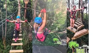 Big Pineapple , Tree top challenge, Sunshine Coast, Australia, QLD