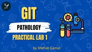GIT | practical pathology lab (part1)