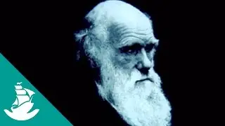 Life in the Future (Full Documentary)