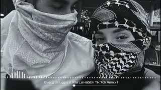 Every Struggle X Ana La Habibi (Tik Tok Remix) | Arabic Music 🎶 | Remix Music