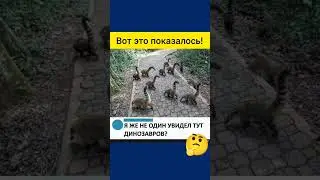 #юмор #мем #прикол