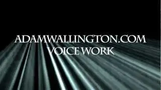 Adam T. Wallington - Voice Work - Indy101-THE 411.mp4