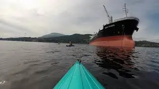 Ladysmith Harbour