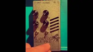Sushi Box Slampegg Bee Pre Simulation (Ampeg b-15) tube preamp Bass Effect Pedal Demo