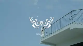[TIGERMOTH X 조윤, 은빈] 권태 - MV