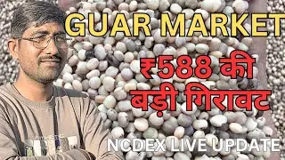NCDEX Guar Crash Today 😱 | All Time High से 588₹ की बड़ी गिरावट | Guar Market News