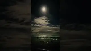 পূর্ণিমা সন্ধ্যায় তোমার রজনীগন্ধায়🥰🥰