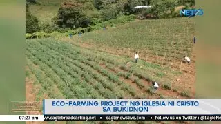Eco-farming project ng Iglesia Ni Cristo sa Bukidnon