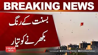 Basant Is Ready to Spread Its Colors | Breaking News | Hum News | Pakistan