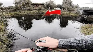 Da sind Sie! Dicke Fische im flachen Bach! Augen auf an neuen Gewässern!