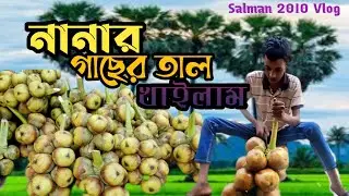 নানার গাছের তাল খাইলাম। তালের শাস।  tall vlog। Vlog 38। Salman 2010 Vlog। New bangla vlog video।
