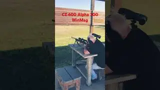 CZ 600 Alpha 300 Winchester Magnum banging steel at 200 yards #rifle #winchester #cz
