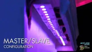 Acclaim Lighting &mdash; True Colors &mdash; Эпизод 2: X-Chip 2 и X-Stick 12
