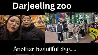 Darjeeling zoo with family/ alpaca / ai/ darjeeling vlogger/Tibetan vlogger/ Hindi vlog 