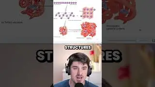 Protein Folding Explained So Easily for MCAT Premed Students!