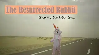 The Resurrected Rabbit Joke. Stupid joke maybe funny perhaps not you decide. Let me know afterwards!