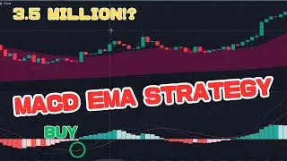 MACD Indicator Strategy |Testing483days【Per Month $3.5million⁉︎】