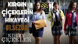 Kırgın Çiçekler'in Hikayesi (1.Sezon)