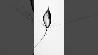 Exploring Self through Abstract Photography: Unlocking Creativity and Personal Expression