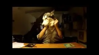Haku