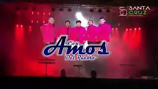 AMOS DEL PUEBLO 19 DE MARZO 2019 SAN JOSÉ SANTA CRUZ ZENZONTEPEC SOLA DE VEGA