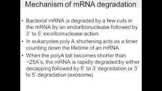 mRNA degradation