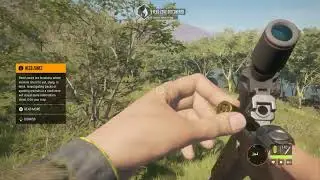 Call of the wild random game play