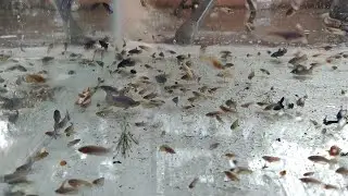Introducing A New Home !!!