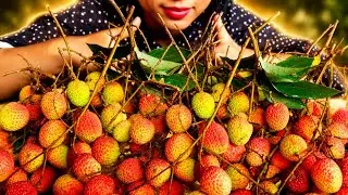 EATING SHOW :- LITCHI EATING😋||LITCHI|| EATING VEDIO|| INDIAN MUKBANG|| BIG BITE||