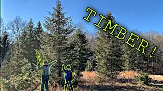 Our First REAL Christmas Tree! | Cutting Down The Perfect Christmas Tree At The Bailey Tree Farm!