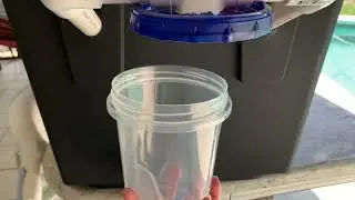 Free Chicken Food - Black Soldier Fly Larvae Farm