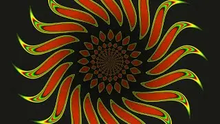 Sunflower Wormhole Animation