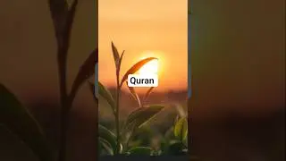 Nice voice 🥰😍#islam