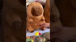 Funny Plush Capybara Stuffed Animal Toys  #funny  #capybara #linkinbio