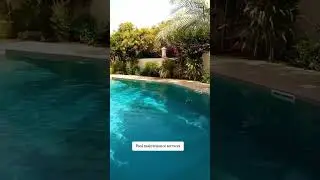 Pool maintenance services in Uae. #landscape #swimmingpool
