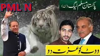Dekho dekho kon aya sher aya...PML N