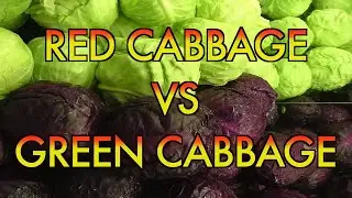 Red Cabbage VS Green Cabbage, Which One Is Best For You??