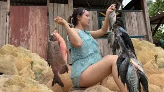 Rural Life: a Busy Day Catching Eels, Fish, and Loaches to Stockpile Enough Food For a Week.