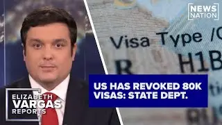 Trump admin. has revoked 80,000 visas: State Department | Elizabeth Vargas Reports