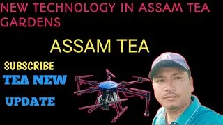 New Technology in Assam 🫢😯🌱||#shorts #tea #tech #drones