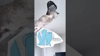 Cat Tail Meanings #cattails  #FelineCommunication #CatOwners #PetTips #catshorts  #Shorts #CatLovers