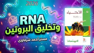 حل كتاب الامتحان احياء 3ث 2026 RNA وتخليق البروتين | الفصل السادس | الدرس الاول | كامل