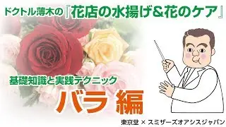 【プロが教える　生花の水揚げと花のケア～花もちのコツ】バラ編（5～6月・9～10月）